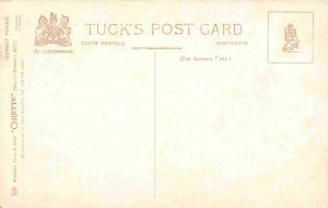 Horses at Sunday Rest Dorset Farms England UK 1910c Tuck postcard