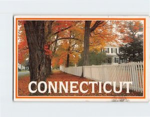 Q-53153 Autumn Scene At Connecticut