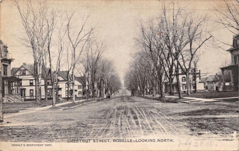 ROSELLE NEW JERSEY~CHESTNUT STREET LOOKING NORTH~REWALT'S  PHOTO POSTCARD 1908