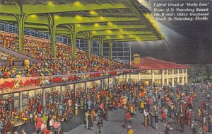 Typical Crowd at Derby Lane World's Oldest Greyhound Track St Petersburg, Flo...