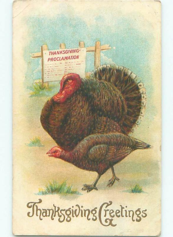 Divided-Back THANKSGIVING SCENE Great Postcard AA0614