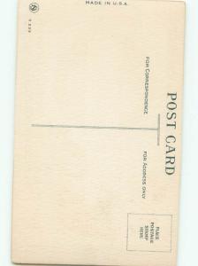 Very Old Foreign Postcard BEAUTIFUL FLOWERS SCENE AA5047