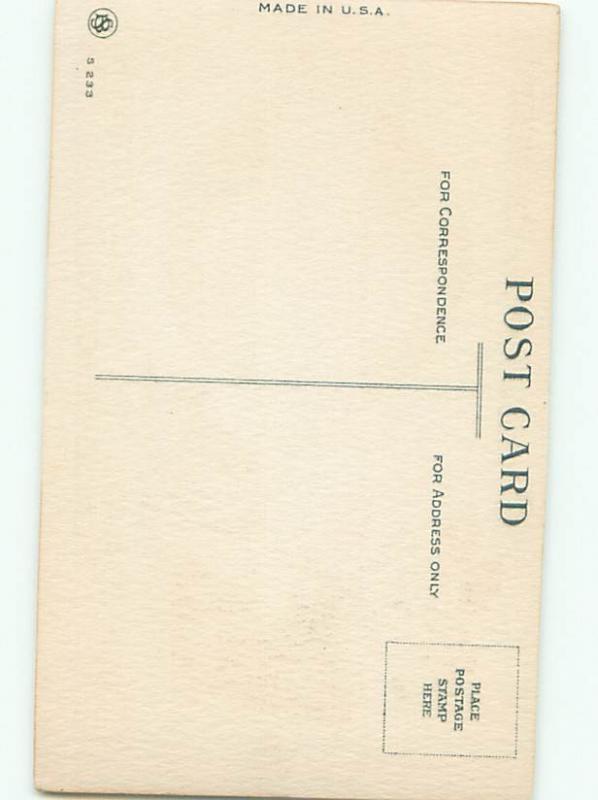 Very Old Foreign Postcard BEAUTIFUL FLOWERS SCENE AA5047