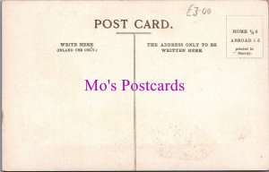 Comic Postcard - Birthday / Baby / Nanny / Servant  SW14892