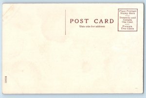 Macomb Illinois IL Postcard Rustic Bridge State Normal c1910 Unposted