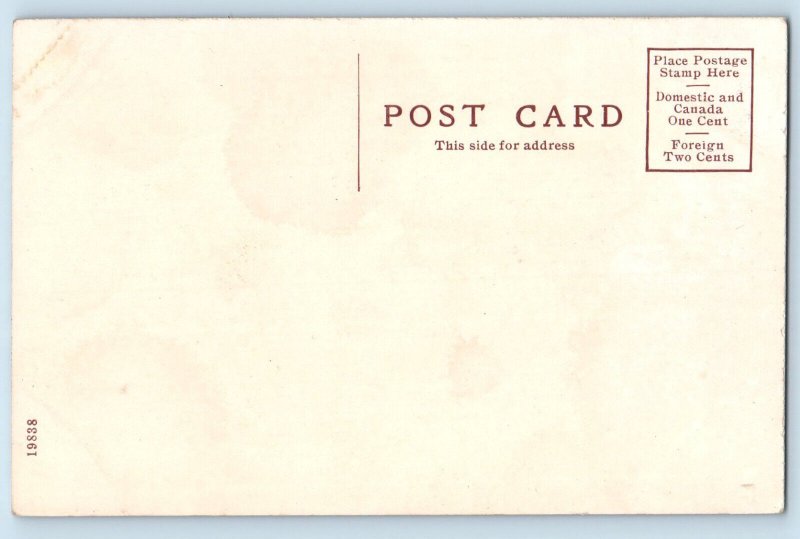 Macomb Illinois IL Postcard Rustic Bridge State Normal c1910 Unposted