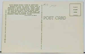 Greetings from Kentucky The Blue Grass State Postcard D6
