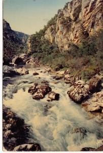 BF13185 les gorges du tarn lozere le tarn au pas de sou  france front/back image