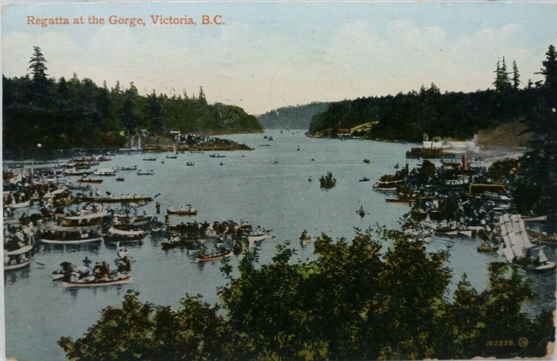 Antique Canadian Postcard Regatta at the Gorge Victoria British Columbia BC 1911