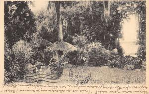 Crescent City Florida Hubbard Park Scenic View Antique Postcard K56300