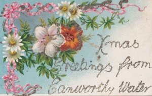 Greetings From CAMWORTHY WATER Antique REAL GLITTER Sparkle Cornwall Postcard