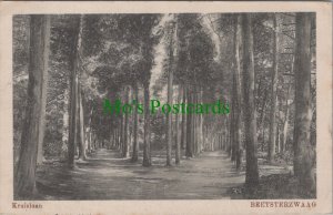 Netherlands Postcard - Beetsterzwaag - Kruislaan -Opsterland, Friesland  RS30873