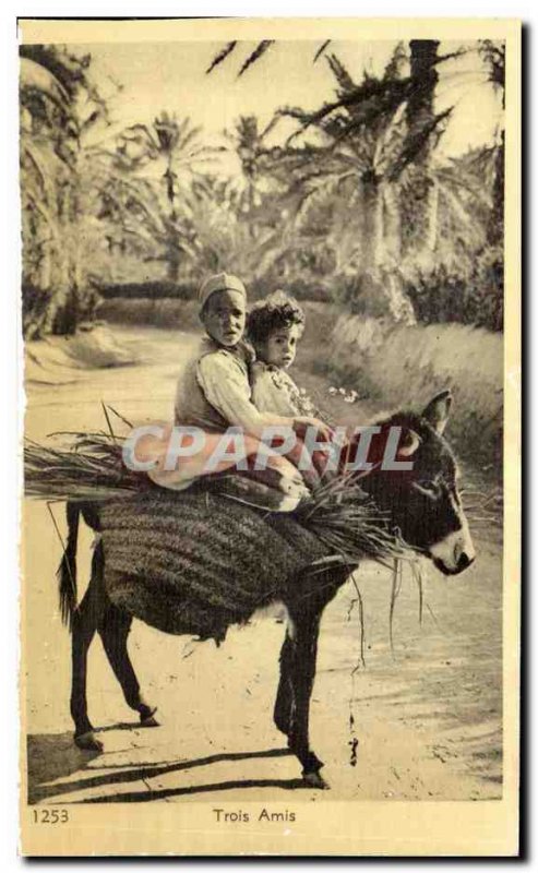 Old Postcard Morocco Three Friends Donkey Donkey