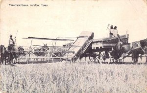 Hereford Texas Wheatfield Farming Scene Vintage Postcard JI658210