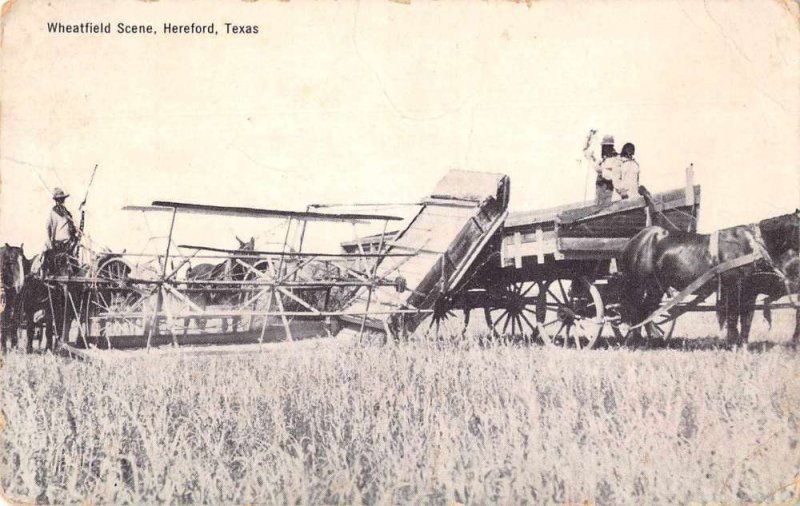 Hereford Texas Wheatfield Farming Scene Vintage Postcard JI658210
