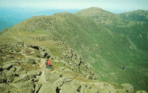 White Mountains New Hampshire Gulf Side Trail North From Mt. Washington Postcard