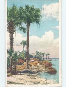 W-Border BOTANICAL SCENE Daytona Florida FL HJ7188