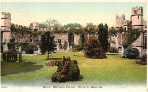 Vintage Postcard Wells Bishop Palace Ruins In Grounds Somerset London