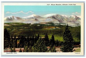 c1950's Mount Massive Grove Railroad Valley Leadville Colorado CO Postcard