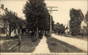 Smyrna NY Main St. c1910 Elite Series Real Photo Postcard