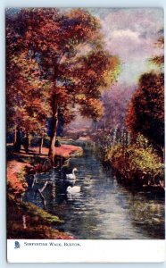 BUXTON, Derbyshire United Kingdom ~ CREEK SCENE & SWANS c1910s TUCK Postcard