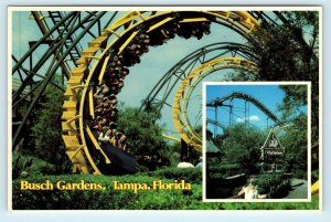 TAMPA, Florida FL ~ BUSCH GARDENS Roller Coaster THE PYTHON  4 x 6 Postcard