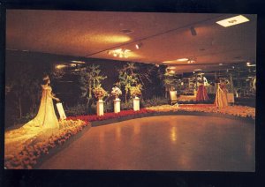 Tyler, Texas/TX Postcard, Rose Festival Show, Previous Queen Gowns