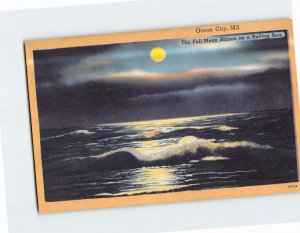 Postcard The Full Moon Shines on a Rolling Sea Ocean City Maryland USA