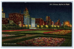 Chicago Illinois IL Postcard Chicago Skyline At Night Buildings Flowers Vintage