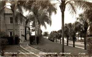 RPPC Residence, Tropical Splendor Clearwater FL Real Photo Vintage Postcard H50