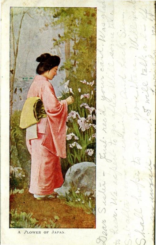 JAPAN, A Flower, Traditional, Cassadaga NY c1905 Vintage Postcard JP1814