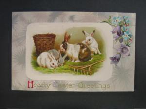 WINSCH EASTER RABBITS c1910 Postcard - NICE BORDER