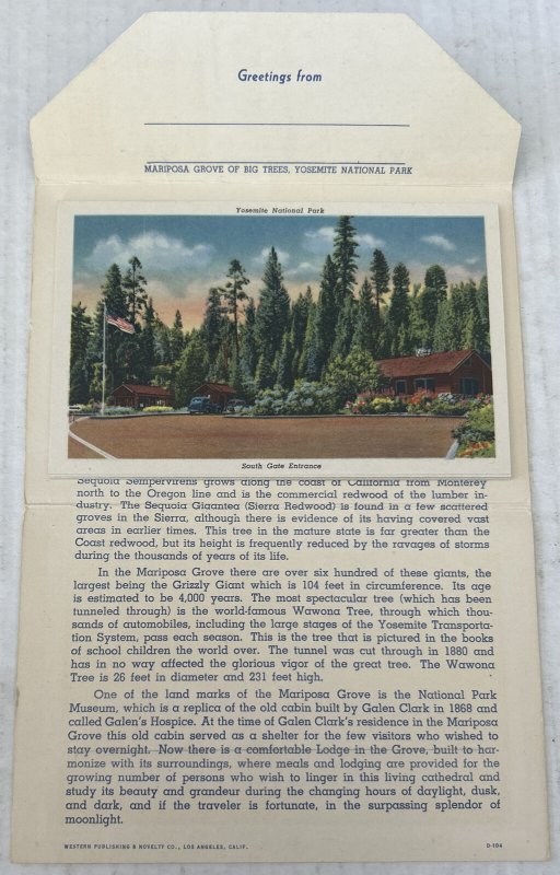 Mariposa Grove of Big Trees Yosemite National Park 18 Postcard Souvenir Folder