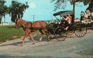 Vintage Postcard 1969 Greetings From The Penna. Dutch Country View Mennonites PA