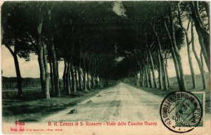 CPA PISA R.R. Tenure di S. Rossore Viale delle Cascine Nuove. ITALY (467947)