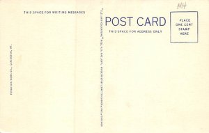 Elmendorf Farm Lexington Kentucky Postcard