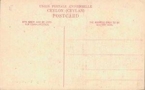 Sri Lanka Ceylon Tea Pluckers Ceylon 06.43