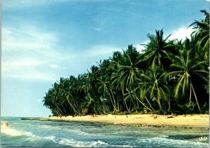 VINTAGE CONTINENTAL SIZE POSTCARD BEACH AND COCONUTS WEST AFRICA