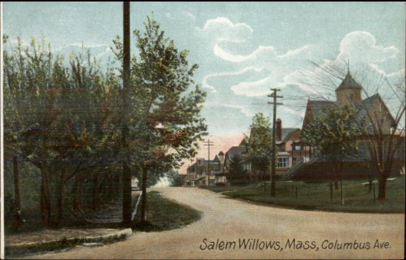 Salem Willows MA Columbus Ave c1910 Postcard