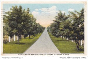 Hibiscus Avenue Through Holly Hill Groves Davenport Florida 1925