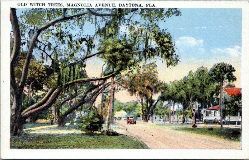 1915 DAYTONA Magnolia Avenue Street View Old Witch Trees Florida ...