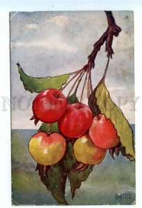 494186 RUSSIA O.A. Grand Duchess Olga Alexandrovna Cherry Tree Vintage postcard