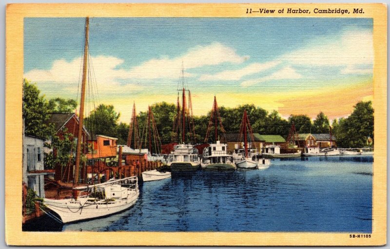 View of Harbor Campbridge Maryland MD Boats and Ships Postcard