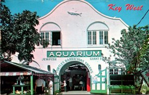 Florida Key West The Aquarium