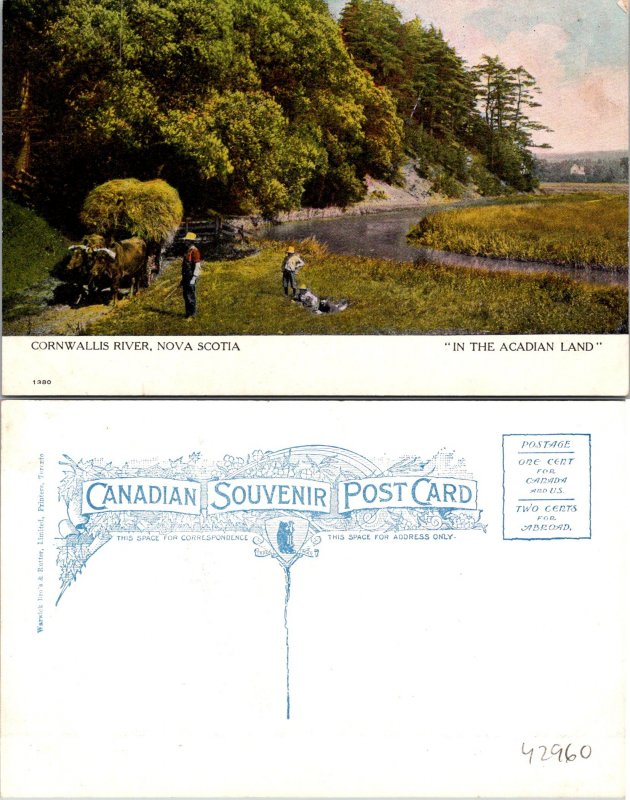 Cornwalis River Nova Scotia Canada Postcard Unused (42960)