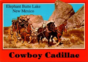 New Mexico Elephant Butte Lake Stagecoach Cowboy Cadillac
