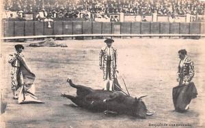 Bullfighting  