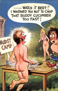 Risque Comic Nudist Camp Man Chopping Cucumbers Bamforth Vintage Postcard