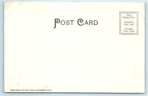 AURORA, Illinois IL ~ Handcolored CARNEGIE LIBRARY ca 1900s UDB  Postcard