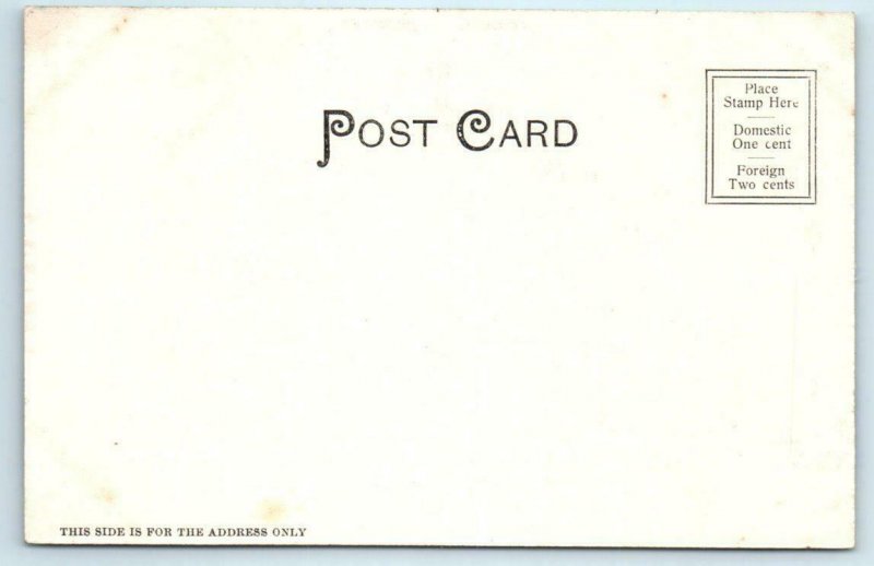 AURORA, Illinois IL ~ Handcolored CARNEGIE LIBRARY ca 1900s UDB  Postcard